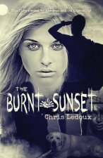Burnt Sunset