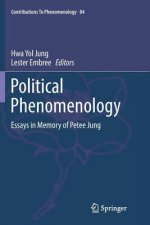 Political Phenomenology