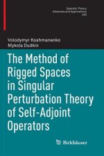 Method of Rigged Spaces in Singular Perturbation Theory of Self-Adjoint Operators