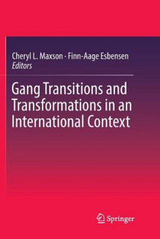 Gang Transitions and Transformations in an International Context