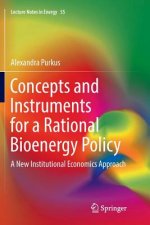 Concepts and Instruments for a Rational Bioenergy Policy