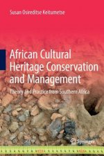 African Cultural Heritage Conservation and Management