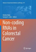 Non-coding RNAs in Colorectal Cancer