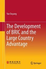 Development of BRIC and the Large Country Advantage