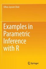 Examples in Parametric Inference with R