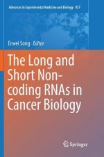 Long and Short Non-coding RNAs in Cancer Biology