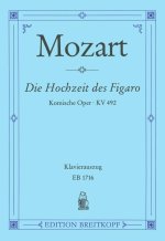 LE NOZZE DI FIGARO K 492 KV 492 SINGSTIM