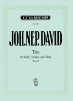 TRIO WK 30 WK 30 FLTE VIOLINE VIOLA