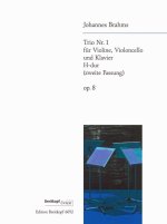 PIANO TRIO NO 1 IN B MAJOR OP8 OP8 VIOLI