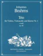 PIANO TRIO NO 3 IN C MINOR OP101 OP101 V