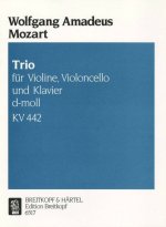 PIANO TRIO IN D MINOR K 442 KV 442 VIOLI