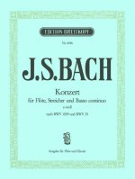 FLUTE CONCERTO IN E MINOR FLTE STREICHER