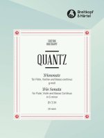 TRIO SONATA IN G MINOR FLTE VIOLINE BASS