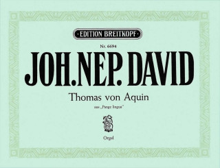 THOMAS VON AQUIN ORGEL