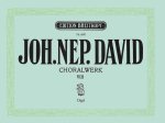 CHORALWERK VOL8 ORGEL