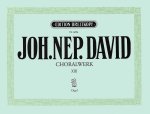 CHORALWERK VOL13 ORGEL