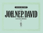 CHORALWERK VOL19 ORGEL