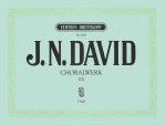 CHORALWERK VOL20 ORGEL