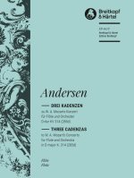 3 CADENZAS FOR MOZARTS FLUTE CONCERTO NO