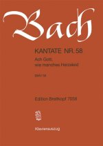 CANTATA BWV 58 ACH GOTT WIE MANCHES HERZ