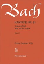 CANTATA BWV 81 JESUS SCHLAEFT WAS SOLL I