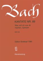 CANTATA BWV 89 WAS SOLL ICH AUS DIR MACH
