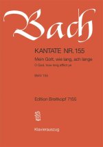 CANTATA BWV 155 O GOD HOW LONG AFFLICT Y