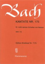 CANTATA BWV 175 ER RUFET SEINEN SCHAFEN