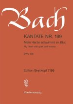 CANTATA BWV 199 MEIN HERZE SCHWIMMT IM B