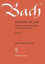CANTATA BWV 206 SCHLEICHT SPIELENDE WELL