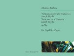 VARIATIONS ON A THEME BY JOSEPH HAYDN IN