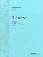 FLUTE CONCERTO IN D MAJOR OP283 BREITKOP
