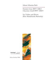 PRELUDIO EDUR BWV 10061 & CHACONNE DMOLL