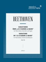 VARIATIONS ON L CI DAREM LA MANO FROM MO