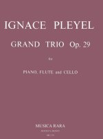 GRAND TRIO IN D MAJOR OP29 B 461 OP29 B