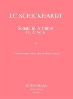 SONATAS OP22 OP22 2 ALTBLOCKFLTEN FLTEN