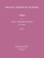 PIANO TRIO IN G MAJOR OP65 OP65 VIOLINE
