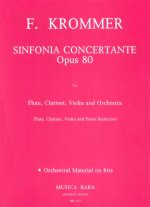 SINFONIA CONCERTANTE IN D OP80 OP80 FLTE