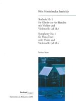 SYMPHONY NO 1 IN C MINOR MWV N 13 CHAMBE