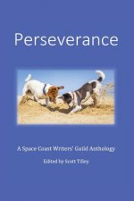 Perseverance: A Space Coast Writers' Guild Anthology