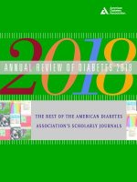 Annual Review of Diabetes 2018