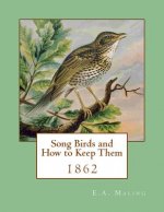 Song Birds and How to Keep Them: 1862