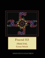 Fractal 113