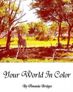 Your World In Color