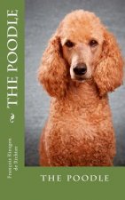 The poodle: the poodle