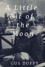 A little bit of the Moon