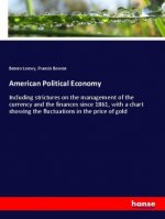 American Political Economy