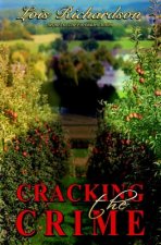 Cracking the Crime: Sequel to The Forbidden Room