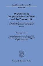 Digitalisierung der gerichtlichen Verfahren und das Prozessrecht.