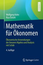 Mathematik Fur OEkonomen